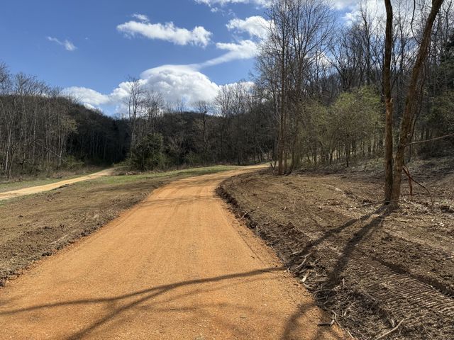 0 Preacher Holt Rd, Mount Pleasant, TN 38474