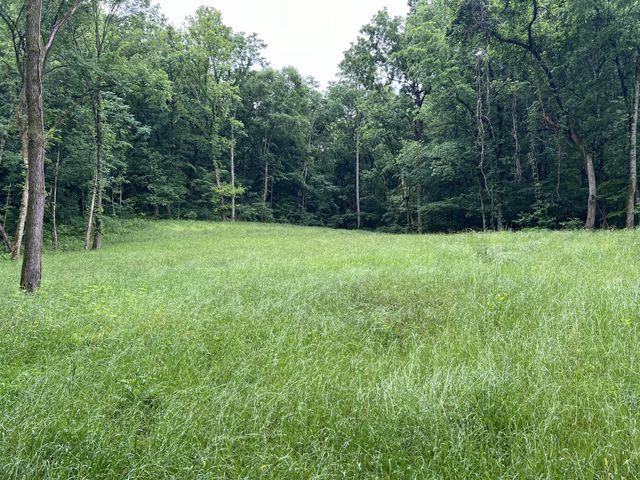 0 Preacher Holt Rd, Mount Pleasant, TN 38474