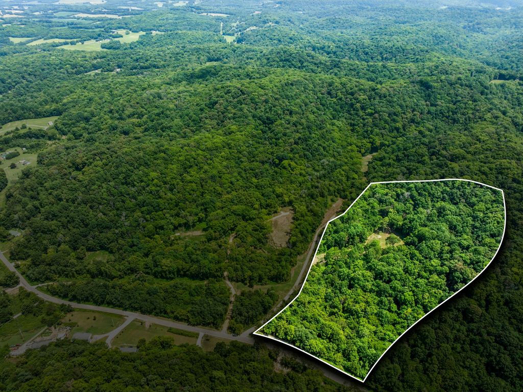 0 Preacher Holt Rd, Mount Pleasant, TN 38474