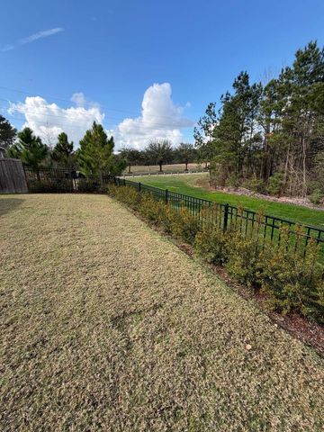 107 Harlequin Duck Court, Magnolia, TX 77354