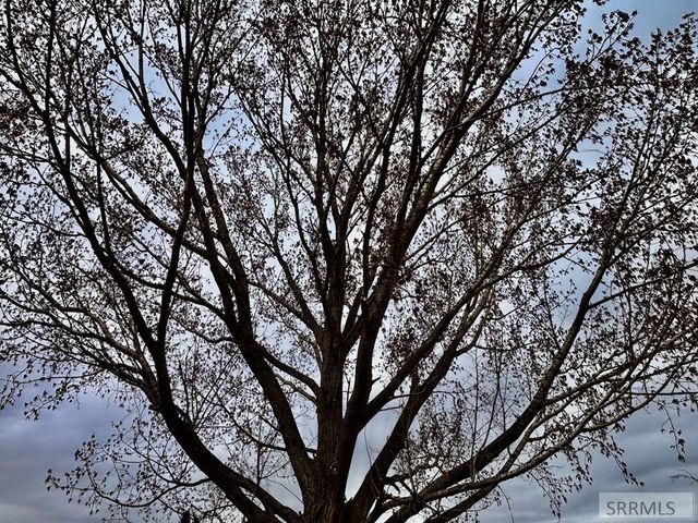 6764 Jennifer Lane, Idaho Falls, ID 83401