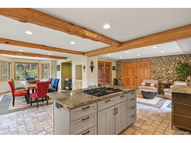 417 Witter Gulch Rd, Evergreen, CO 80439