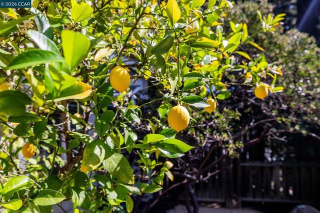 770 Highbridge Ln, Danville, CA 94526