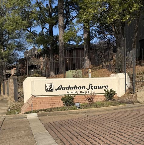 4786 Audubon View Cir Unit 3807, Memphis, TN 38117