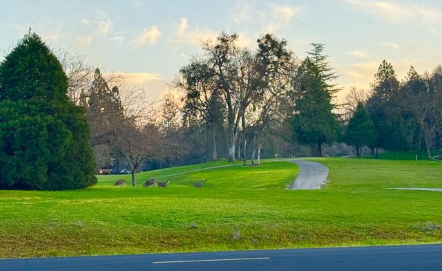 18854 Chickadee Ct, Penn Valley, CA 95946