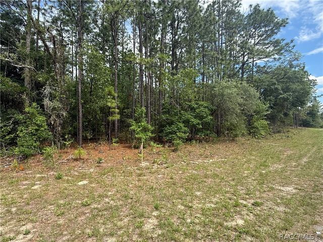7103 N Hemmingway Drive, Dunnellon, FL 34434