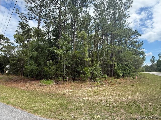 7103 N Hemmingway Drive, Dunnellon, FL 34434