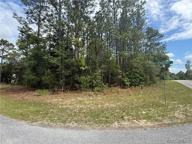 7103 N Hemmingway Drive, Dunnellon, FL 34434
