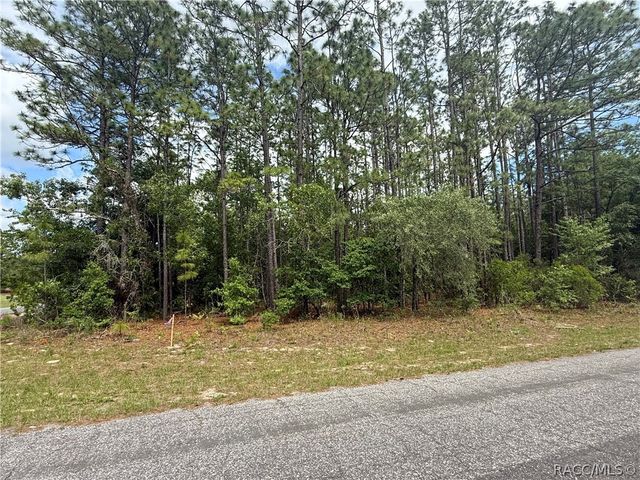 7103 N Hemmingway Drive, Dunnellon, FL 34434