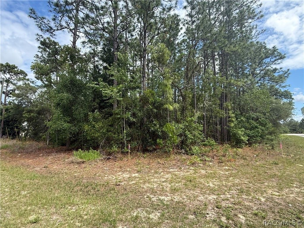 7103 N Hemmingway Drive, Dunnellon, FL 34434