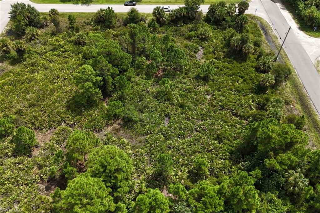 3204 51st ST W, LEHIGH ACRES, FL 33971 — photo 3