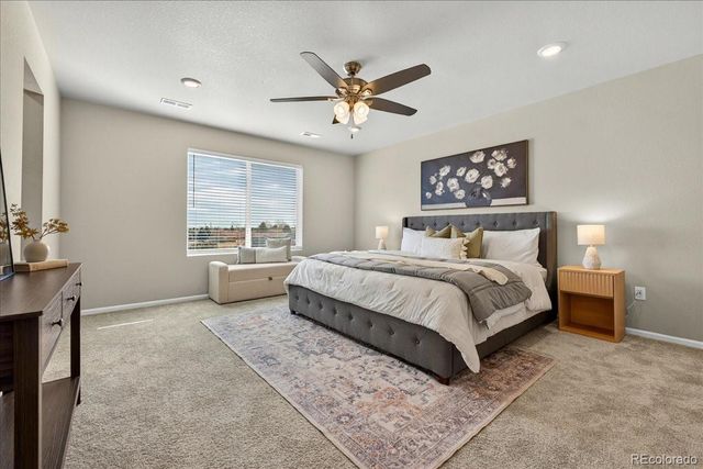 588 Silver Rock Trail, Castle Rock, CO 80104