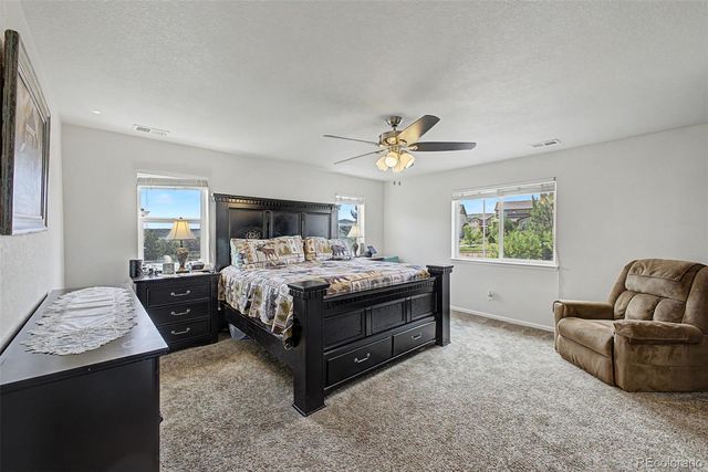 7514 Blue Water Drive, Castle Rock, CO 80108