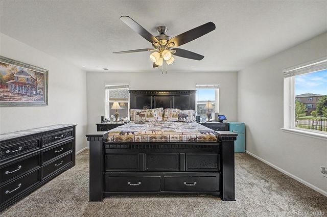 7514 Blue Water Drive, Castle Rock, CO 80108