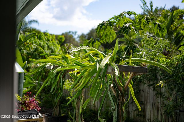 30 Bonaventure Drive, Rockledge, FL 32955