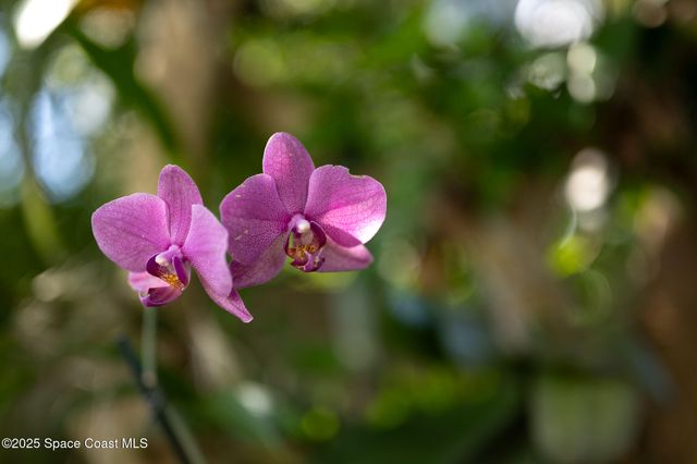 30 Bonaventure Drive, Rockledge, FL 32955