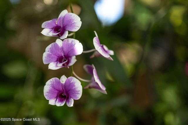 30 Bonaventure Drive, Rockledge, FL 32955