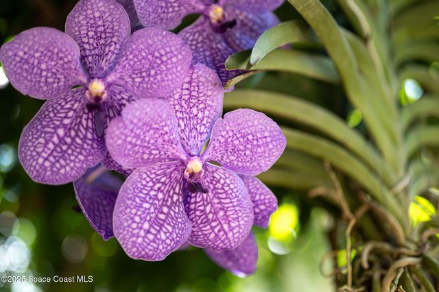 30 Bonaventure Drive, Rockledge, FL 32955