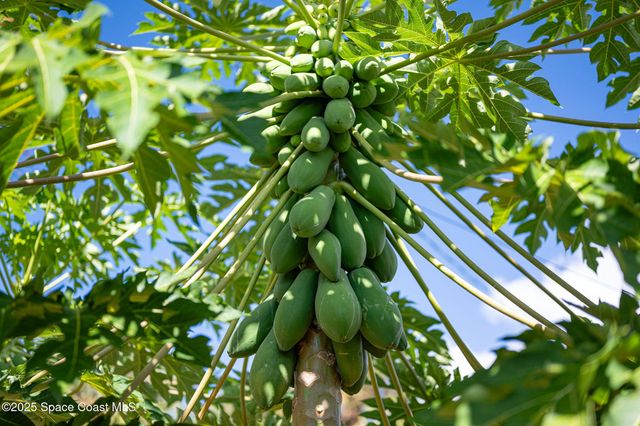 30 Bonaventure Drive, Rockledge, FL 32955