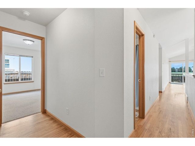 1530 Walnut St, Windsor, CO 80550