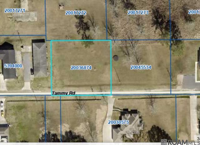 Tammy Rd, Prairieville, LA 70769