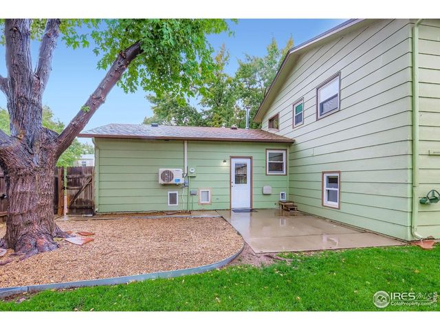 14 Tulip Ct, Windsor, CO 80550