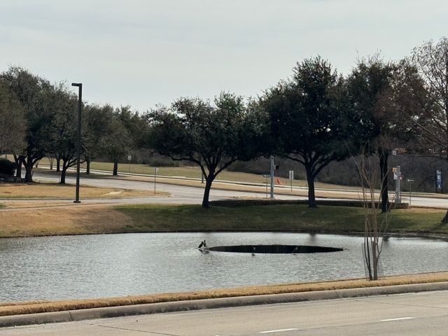 6435 Las Colinas Boulevard, Irving, TX 75039