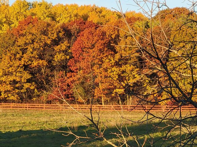 12049 Firefly Lane, Brainerd, MN 56401