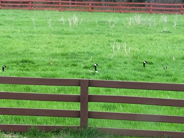 12049 Firefly Lane, Brainerd, MN 56401