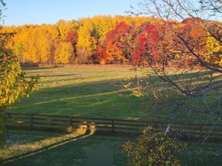 12049 Firefly Lane, Brainerd, MN 56401