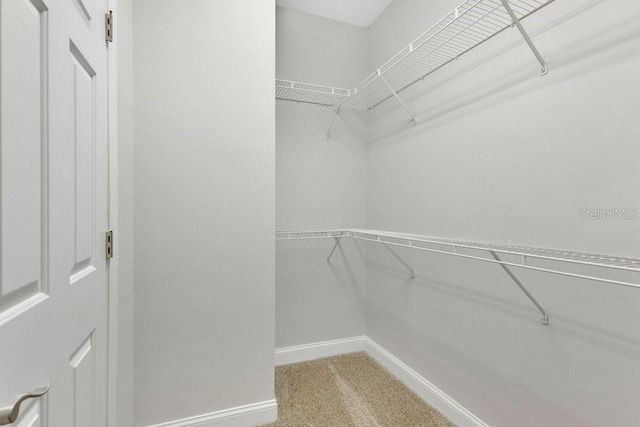 1013 MAIDEN TERRACE, Celebration, FL 34747