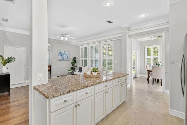 1013 MAIDEN TERRACE, Celebration, FL 34747