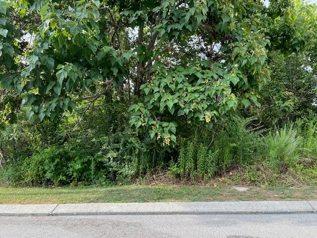 2118+2112 Short Leaf Lane, Soddy Daisy, TN 37379