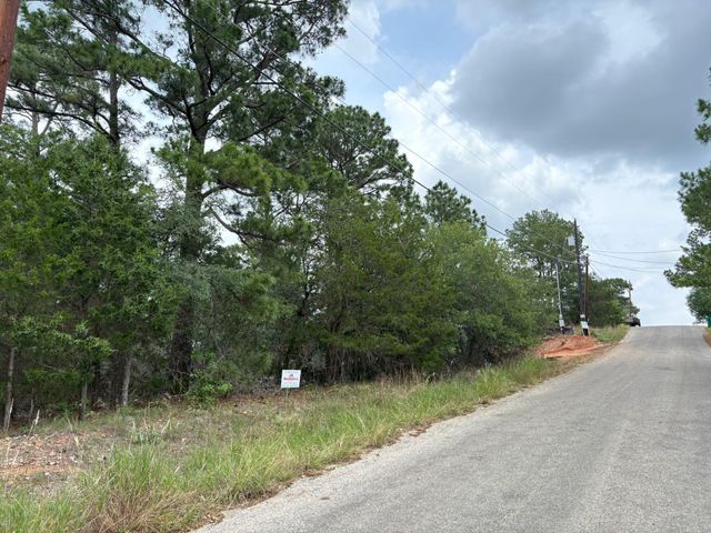 0 Kaelepulu Lot 240 DR, Bastrop, TX 78602