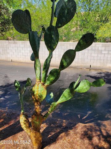 4145 N Via Villas, Tucson, AZ 85719