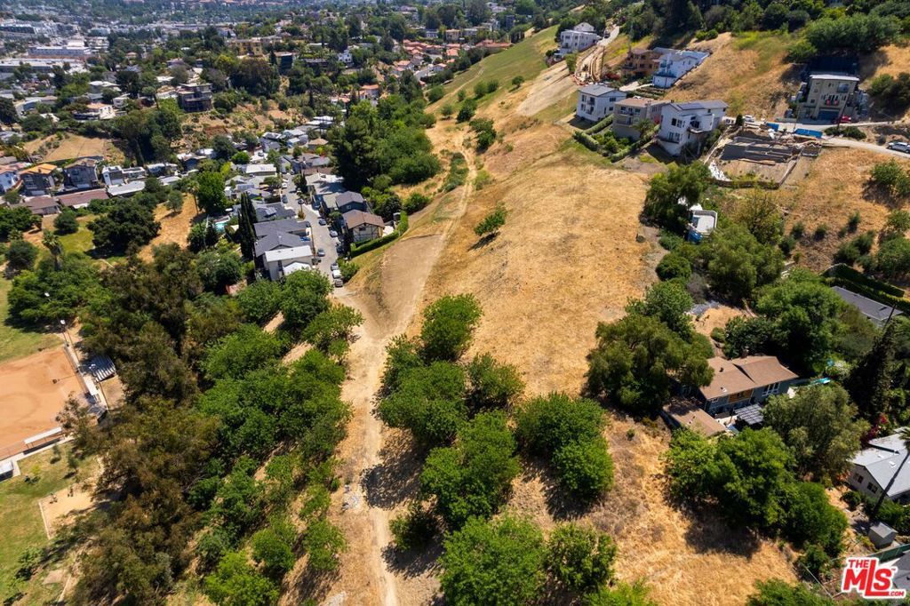 3586 N Mimosa Drive, Los Angeles, CA 90065 — photo 5