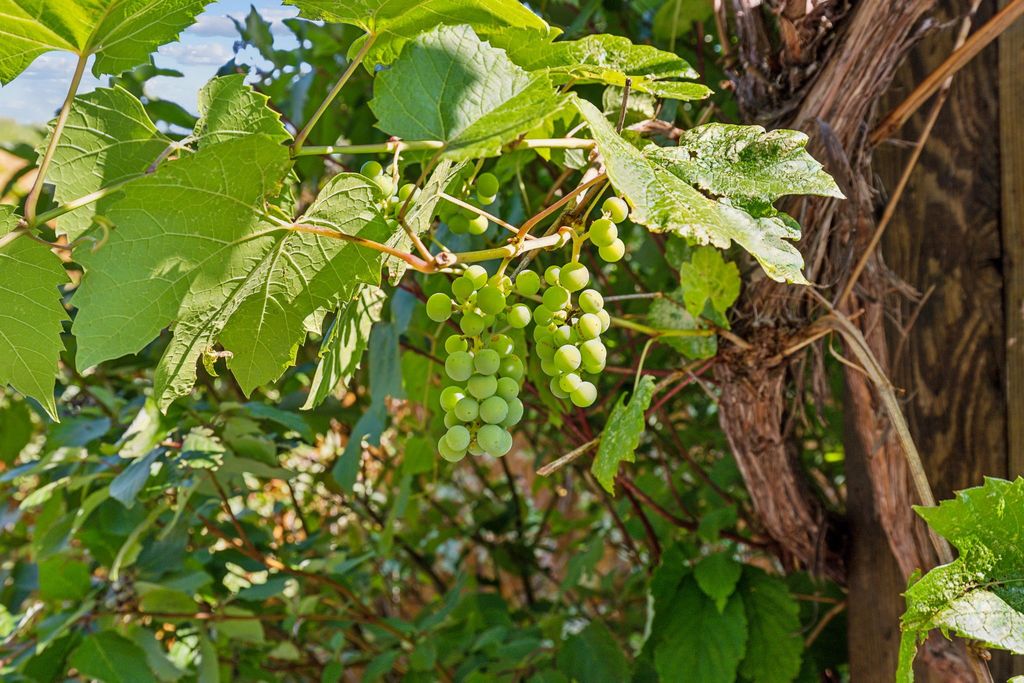 2761 Contour Road, Missoula, MT 59802 photo 49