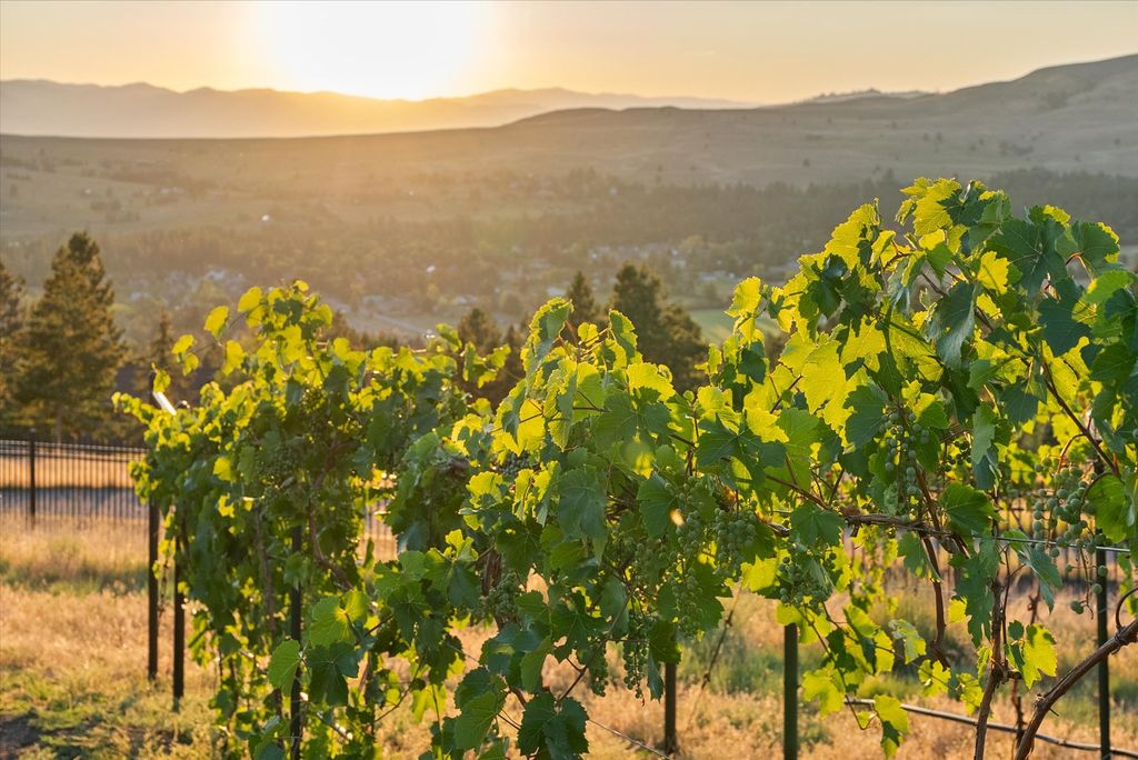 2761 Contour Road, Missoula, MT 59802 photo 75