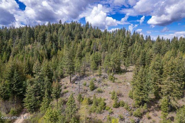 1131 Cabin Ridge Rd, Spirit Lake, ID 83869