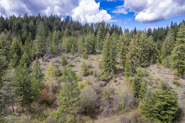 1131 Cabin Ridge Rd, Spirit Lake, ID 83869