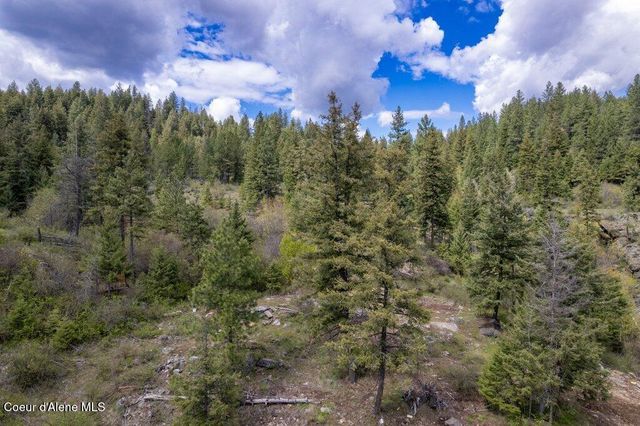 1131 Cabin Ridge Rd, Spirit Lake, ID 83869