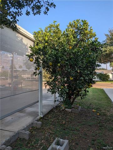 2320 Starling W Circle 334, Palmview, TX 78572