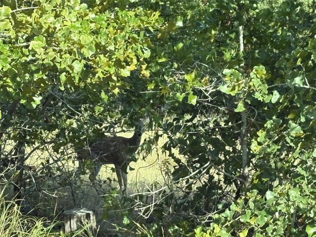 TBD Kimo CT, Bastrop, TX 78602