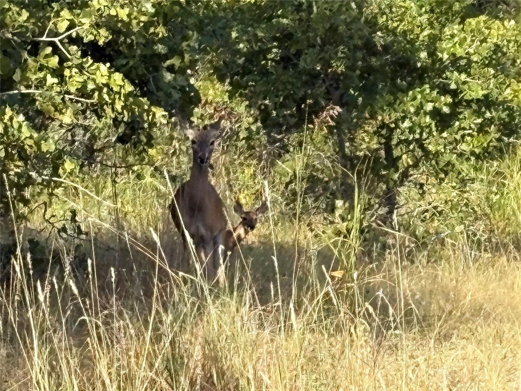 TBD Kimo CT, Bastrop, TX 78602