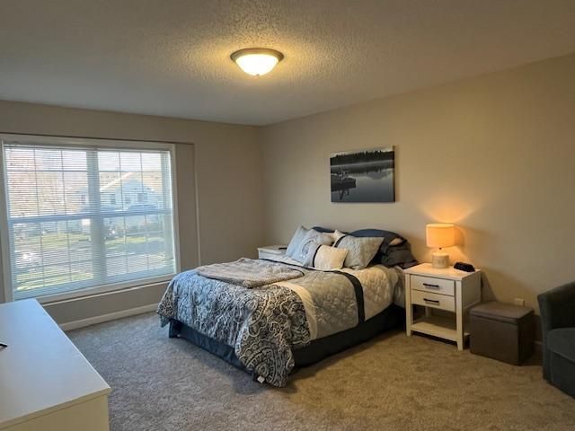 343 Wagon Wheel Lane, Chaska, MN 55318