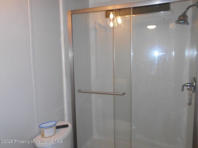 15116 Brookridge Boulevard, Brooksville, FL 34613