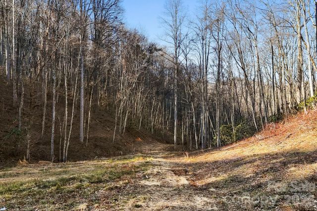 14 Selway Drive, Candler, NC 28715