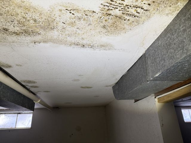 213 S Summit Street, Wheaton, IL 60187