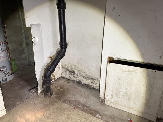 213 S Summit Street, Wheaton, IL 60187