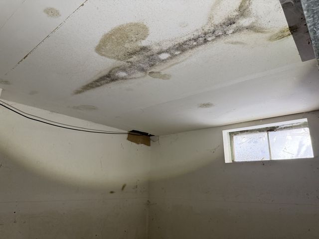 213 S Summit Street, Wheaton, IL 60187